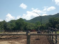 -西安秦岭野生动物园