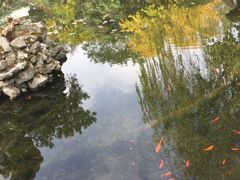 -东山雕花楼