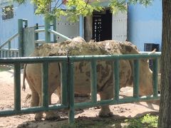 -秦皇岛野生动物园