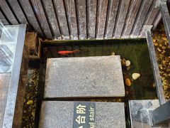 -颐和•海鲜砂锅粥•啫啫煲(奥林匹克广场店)