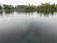 -百脉泉景区