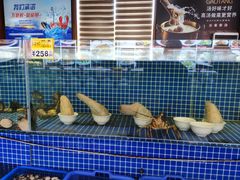 -丽苑大酒店