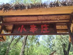 -微山湖红荷湿地景区