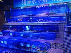 -青蓬蒸汽海鲜·深圳老字号·团建聚会(壹方城店)
