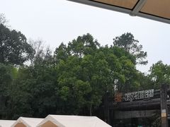 -天目湖山水园