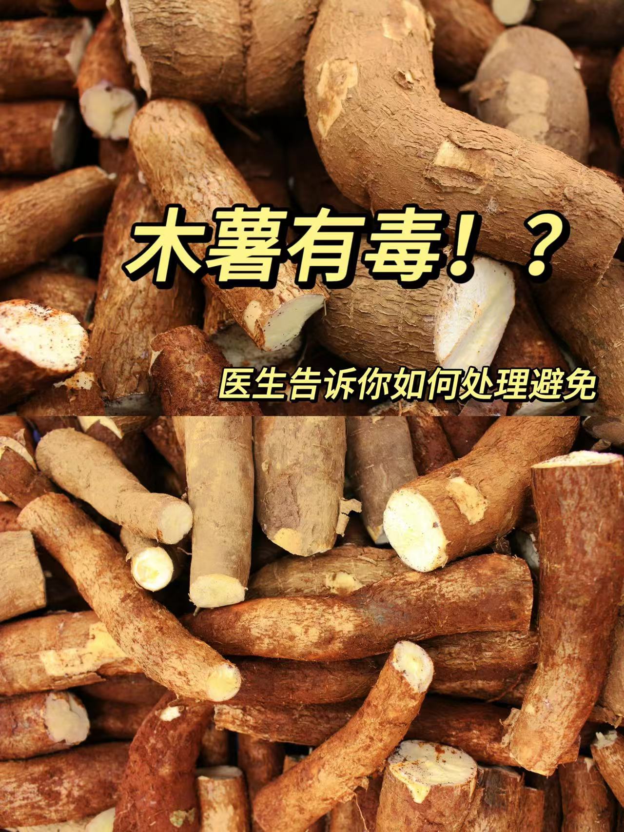 木薯有毒为什么还吃图片