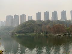 -重庆彩云湖湿地公园