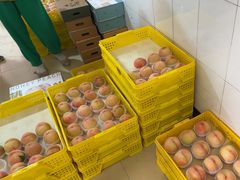 -老袁家蜜桃农场·阳山水蜜桃
