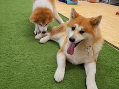 -YCHL Studios健身工作室(市二宫店)
