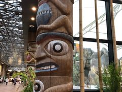 -杭州开元森泊度假乐园