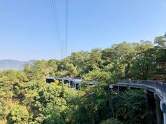 -金鸡山公园