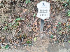 -马峦山郊野公园
