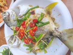 -海胆公主南澳岛美食海鲜