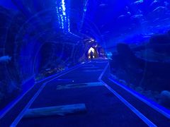 -成都浩海立方海洋公园