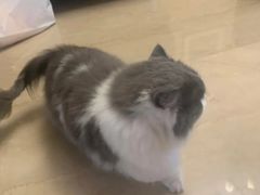 -悠尼宠物·独立低压伊珊娜洗护·美容·寄养(兰谷路店)