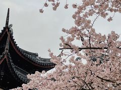-苏州上方山国家森林公园