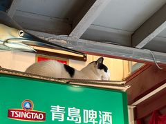 -洪齐林老镇