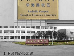 -上海海洋大学(临港校区)