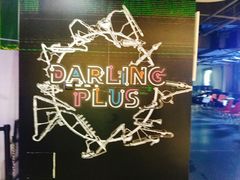 -Darling Queen·Mini·Live·House