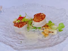 北海道带子-蝶舍·MAISON PAPILLON