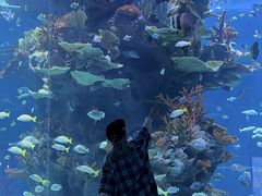 -多彩贵州城极地海洋世界