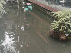 -大妙火锅·非物质文化遗产(东湖公园店)