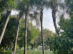 -龙头寺公园