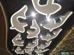 -阿五黄河大鲤鱼(海尚店)
