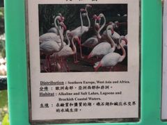 -九龙公园