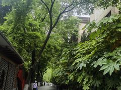 -莲湖公园