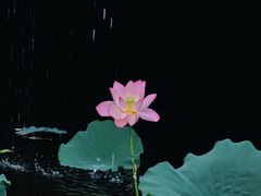 -荔湾湖公园