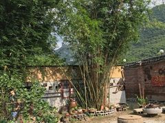 -三门江国家森林公园