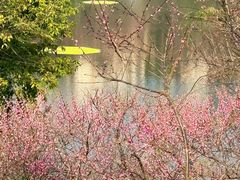 -重庆彩云湖湿地公园