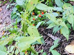 -碓臼峪自然风景区