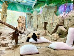 -广州长隆野生动物世界