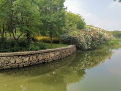 -尚贤河湿地