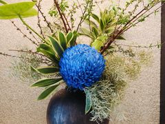 -深圳湾万象城(南山店)