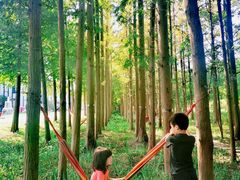 -上海长兴岛郊野公园