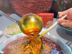 -渝大龙重庆火锅(温泉月亮湾店)