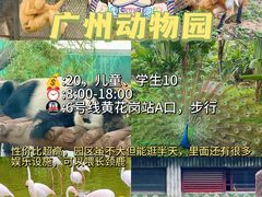 -广州动物园