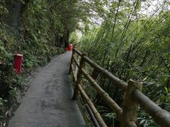 -阿依河景区