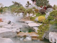 -东莞植物园