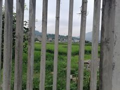 -四川农业大学(雅安校区)