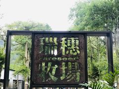 -瑞穗牧场