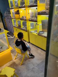 -神奇动物撸宠馆·羊驼·小浣熊·异宠(豫园店)