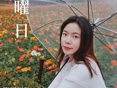 -秀丽东方