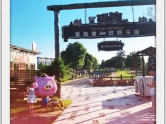 -田园东方蜜桃村的田野营地