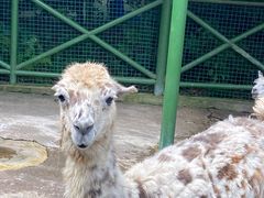 -杭州野生动物世界