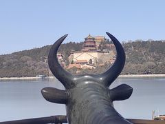 -颐和园