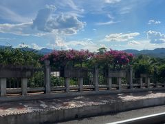-中国科学院西双版纳热带植物园